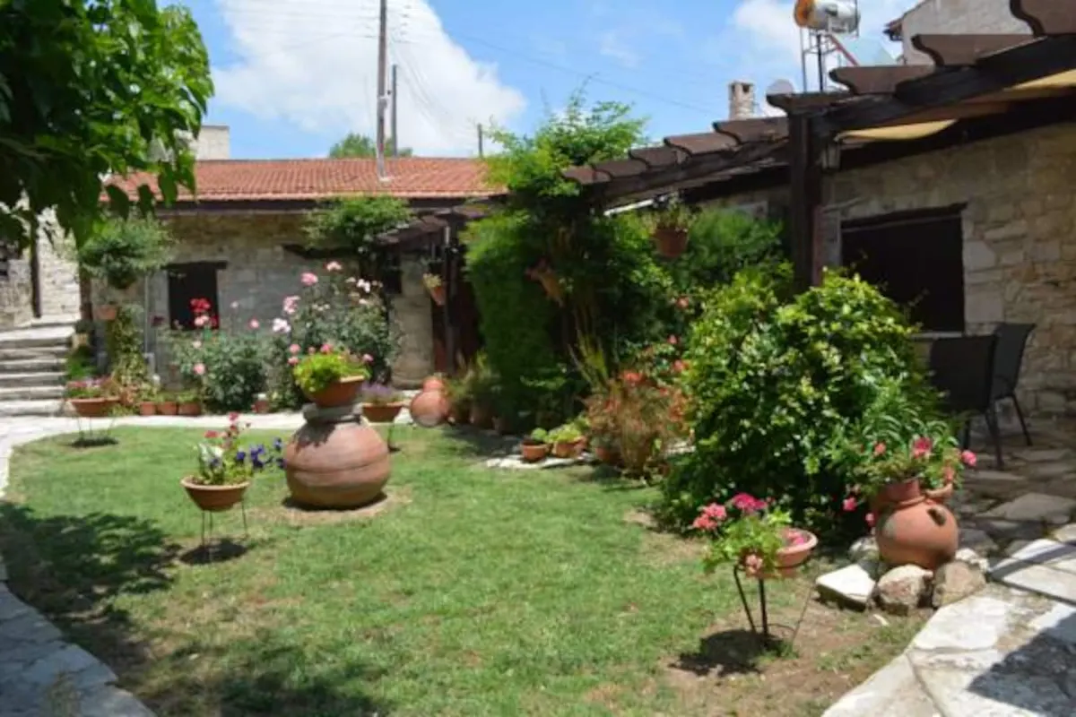Courtyard garden with terracotta pots and flowering shrubs