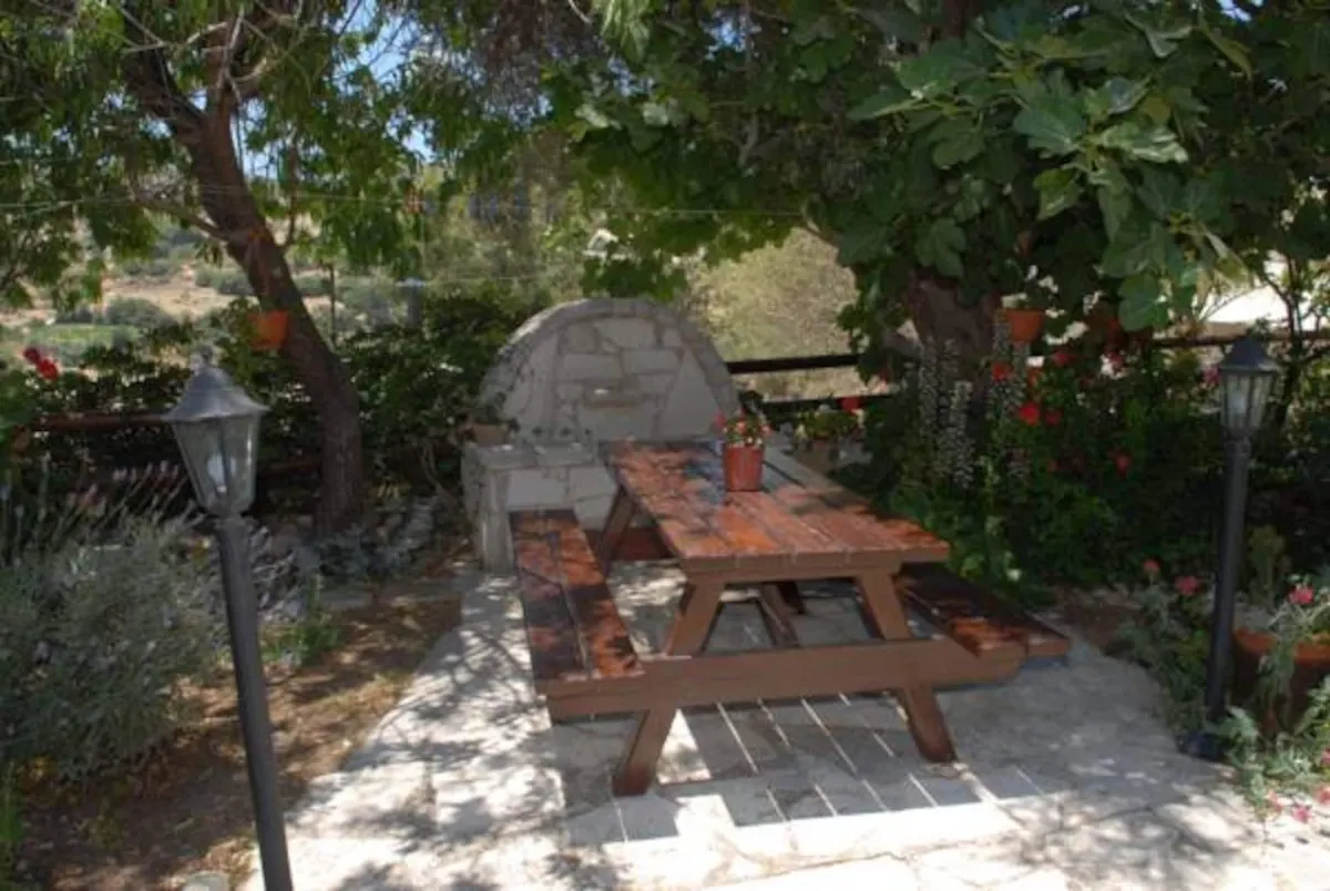 Wood-fired stone oven and picnic table under fig trees